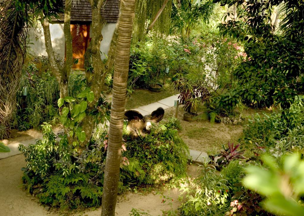 Whistling Bird Hotel Negril Esterno foto