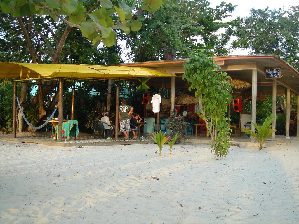 Whistling Bird Hotel Negril Esterno foto