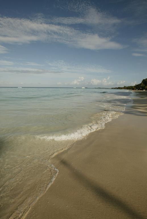 Whistling Bird Hotel Negril Esterno foto